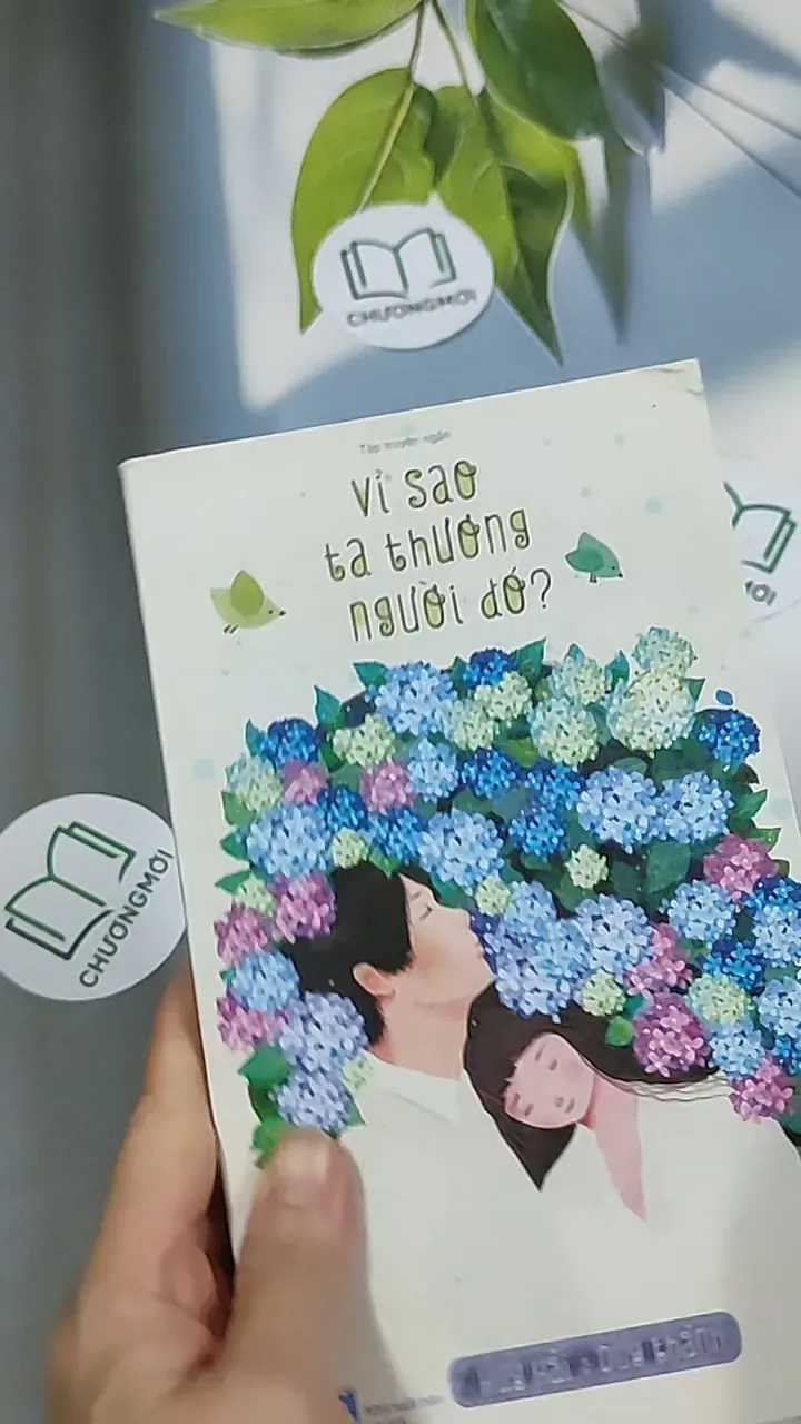 Vì sao ta thương người đó - Huy Hải 688717