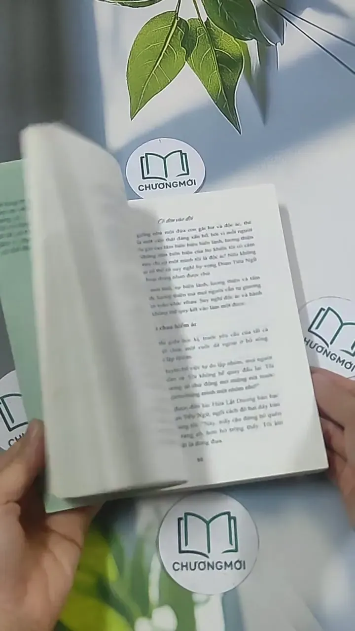 Cô đơn vào đời - Dịch Phấn Hàn 694945