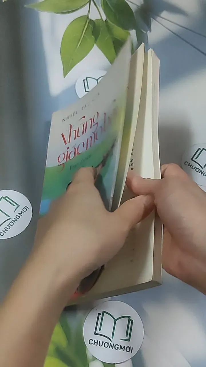 [MIỄN PHÍ BỌC SÁCH] Những giấc mơ bay - Your dreams take flight ( song ngữ ) 688598