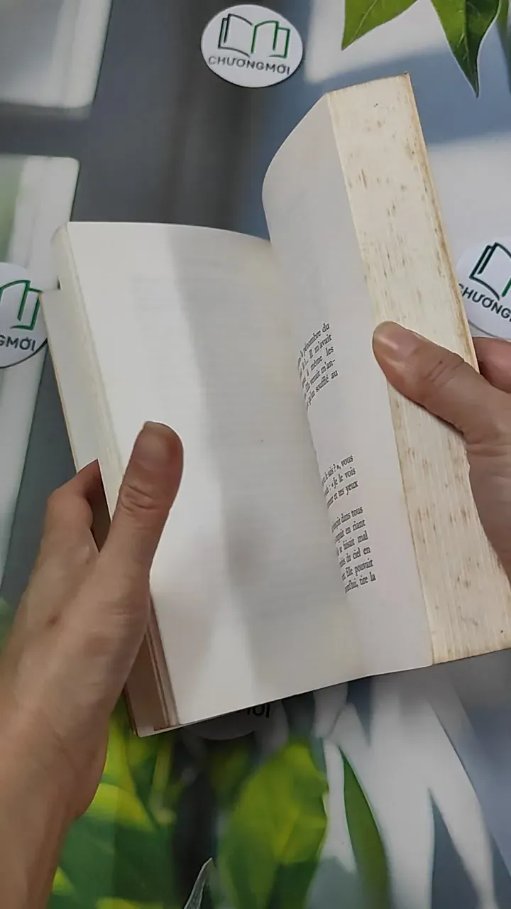 [MIỄN PHÍ BỌC SÁCH] Ma première femme - Yann Queffélec 754529