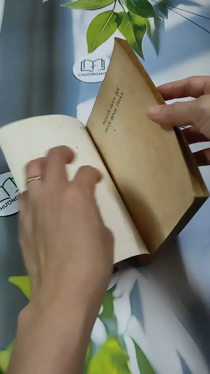 Người Đàn Bà Tuổi Bính Thân - Phạm Thị Minh Thư 713893