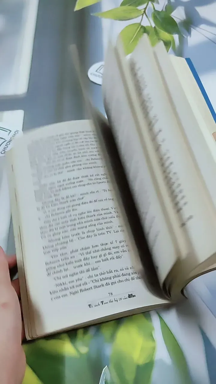 Airhead 2: Being Nikki Trở Thành Siêu Mẫu - Meg Cabot 744772