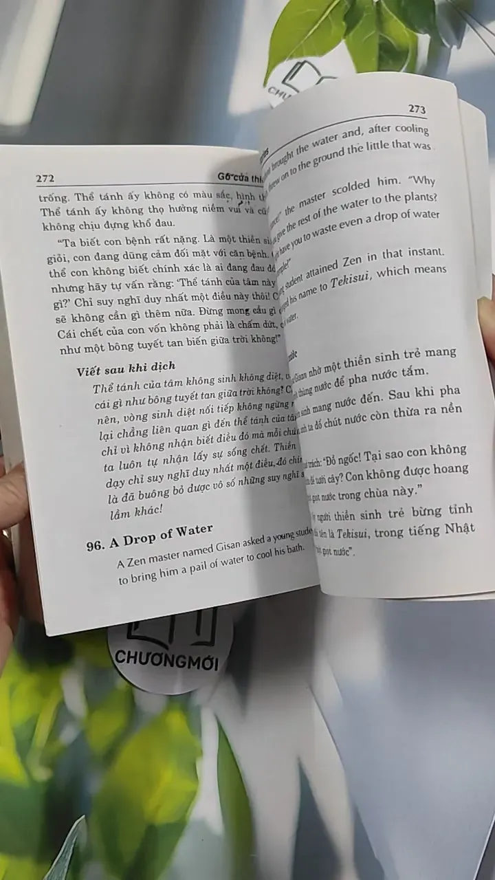 Gõ Cửa Thiền - Nguyên Minh 776154