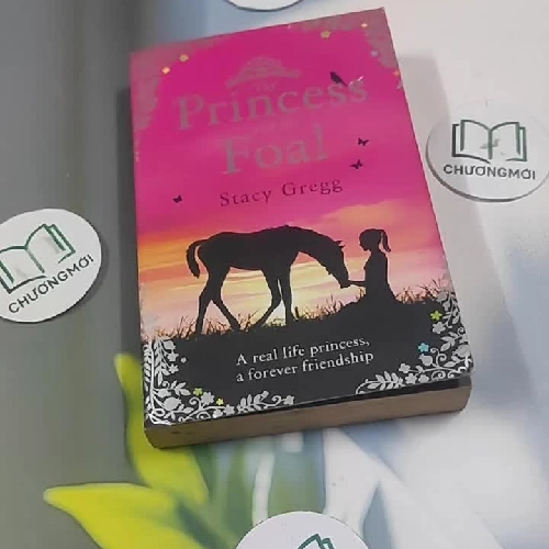 The Princess and the Foal - Stacy Gregg