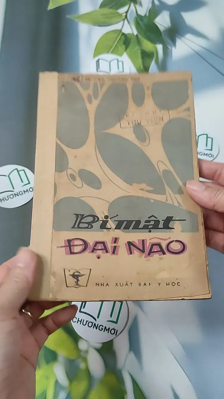 [XƯA] Bí Mật Đại Não (1982) - BS. Cao Trường Thọ 775987