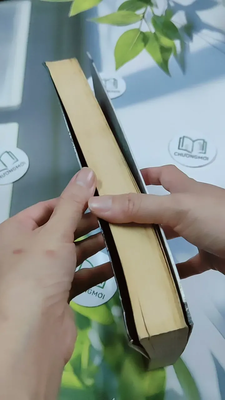 Nơi Ánh Đèn Rực Rỡ - Thanh Sam Lạc Thác 744762