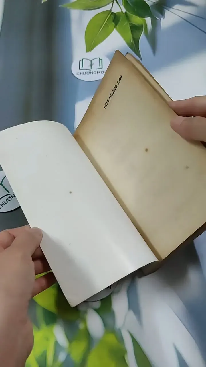 Hoa Hoàng Lan - Nguyễn Phan Hách 713866