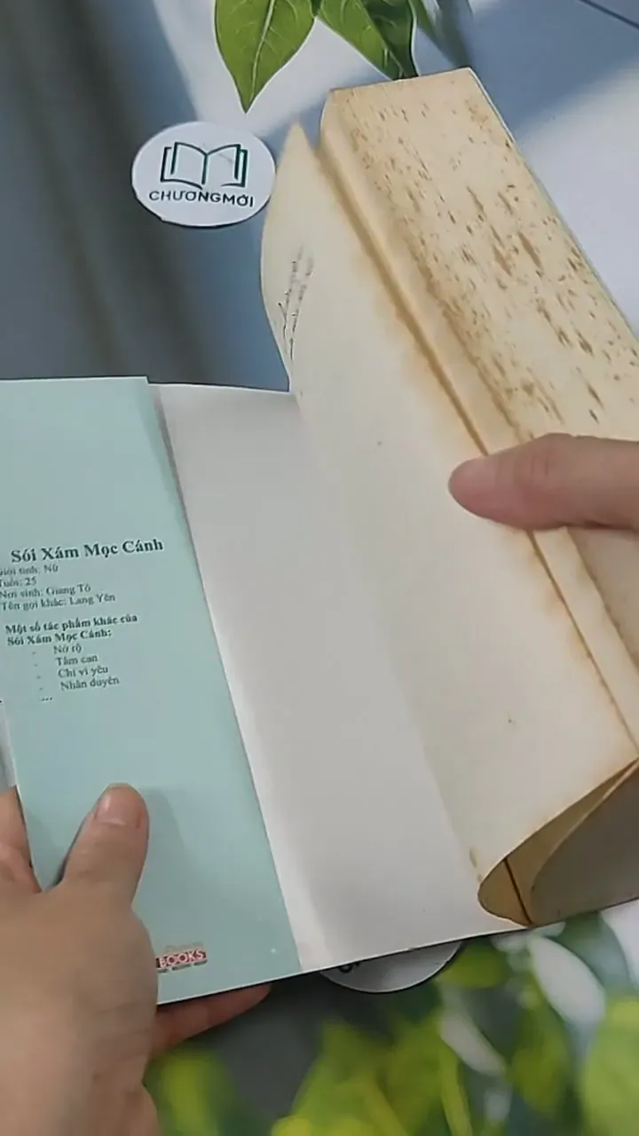 Ai Còn Chờ Ai Giữa Mùa Hoa Nở - Sói Xám Mọc Cánh 705627