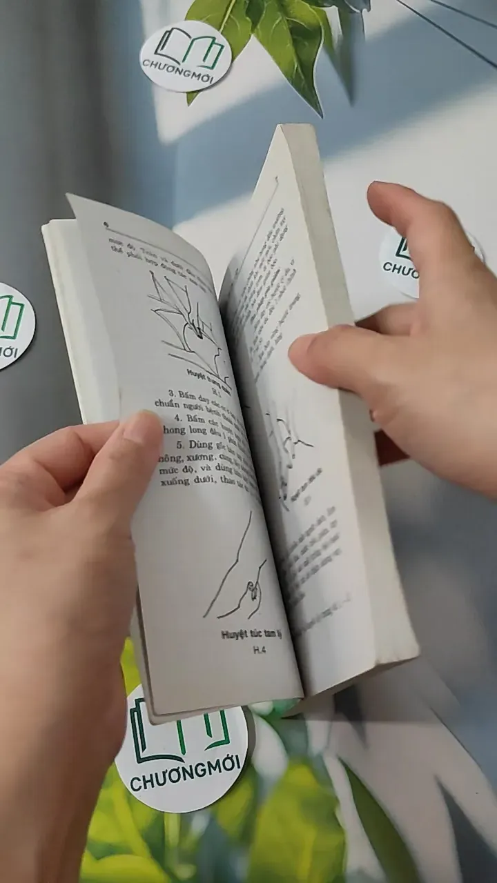 Xoa - Bấm Huyệt - Kỷ Anh & Định Công Bảy 780808