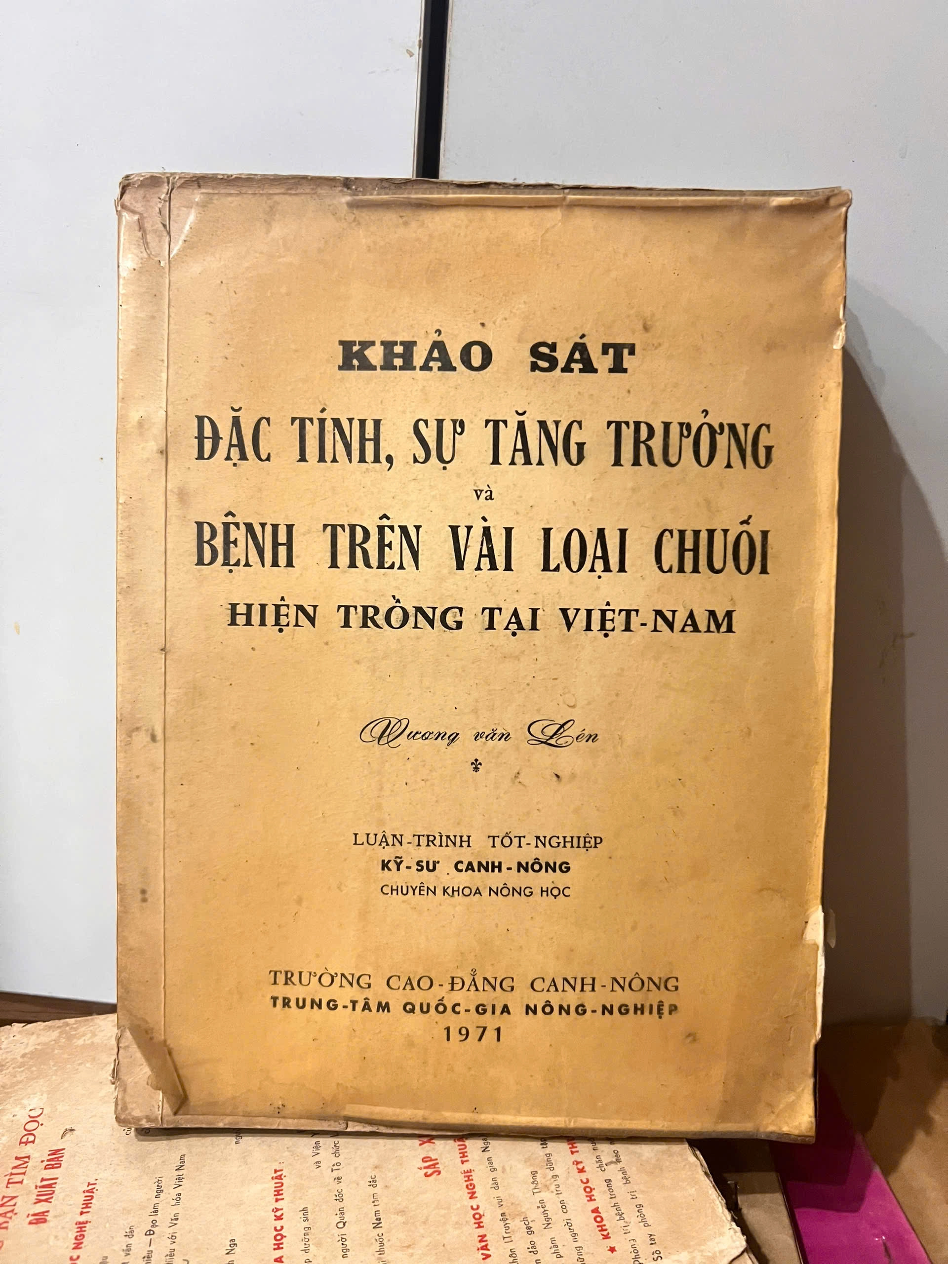 Khảo sát đặc tính, sự tăng trưởng và bệnh trên vài loại chuối hiện trồng tại Việt Nam by  - Sách Book Cover - Ngọc Hiển Books