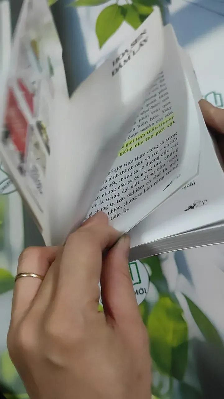 Hoa Sen Và Đầm Lầy - Hilda Lee Dail 787107