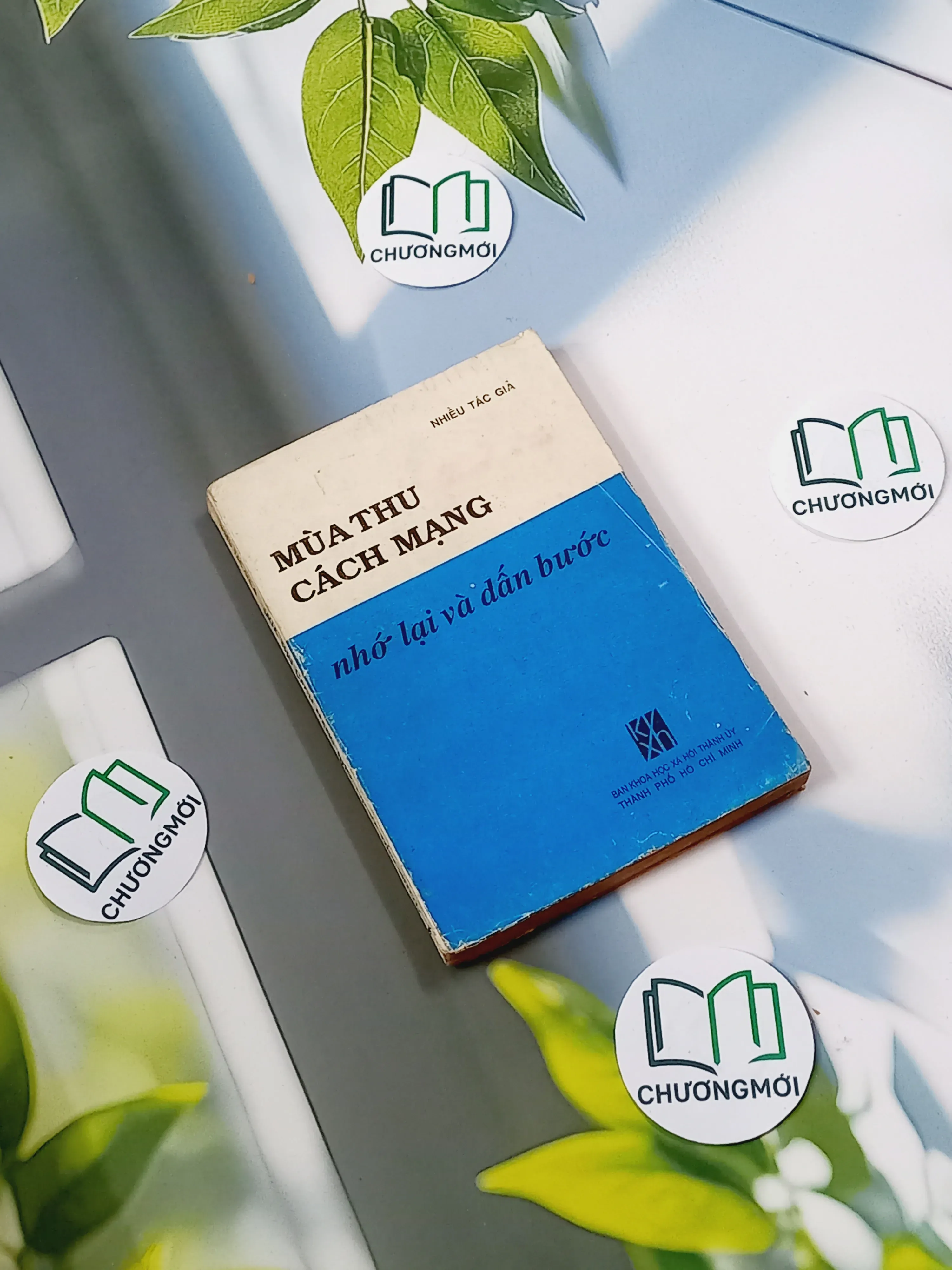 [XƯA] Mùa Thu Cách Mạng Nhớ Lại Và Dấn Bước (1991)