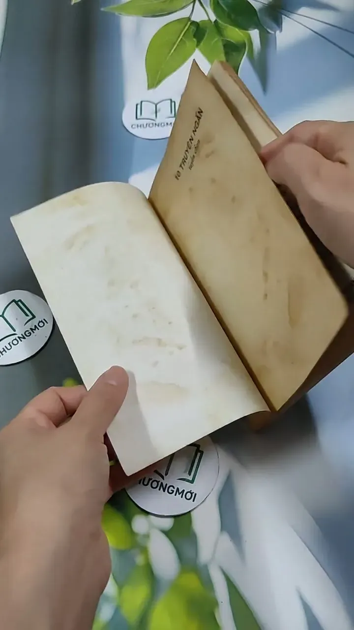 10 Truyện Ngắn Tuyển Chọn 713873