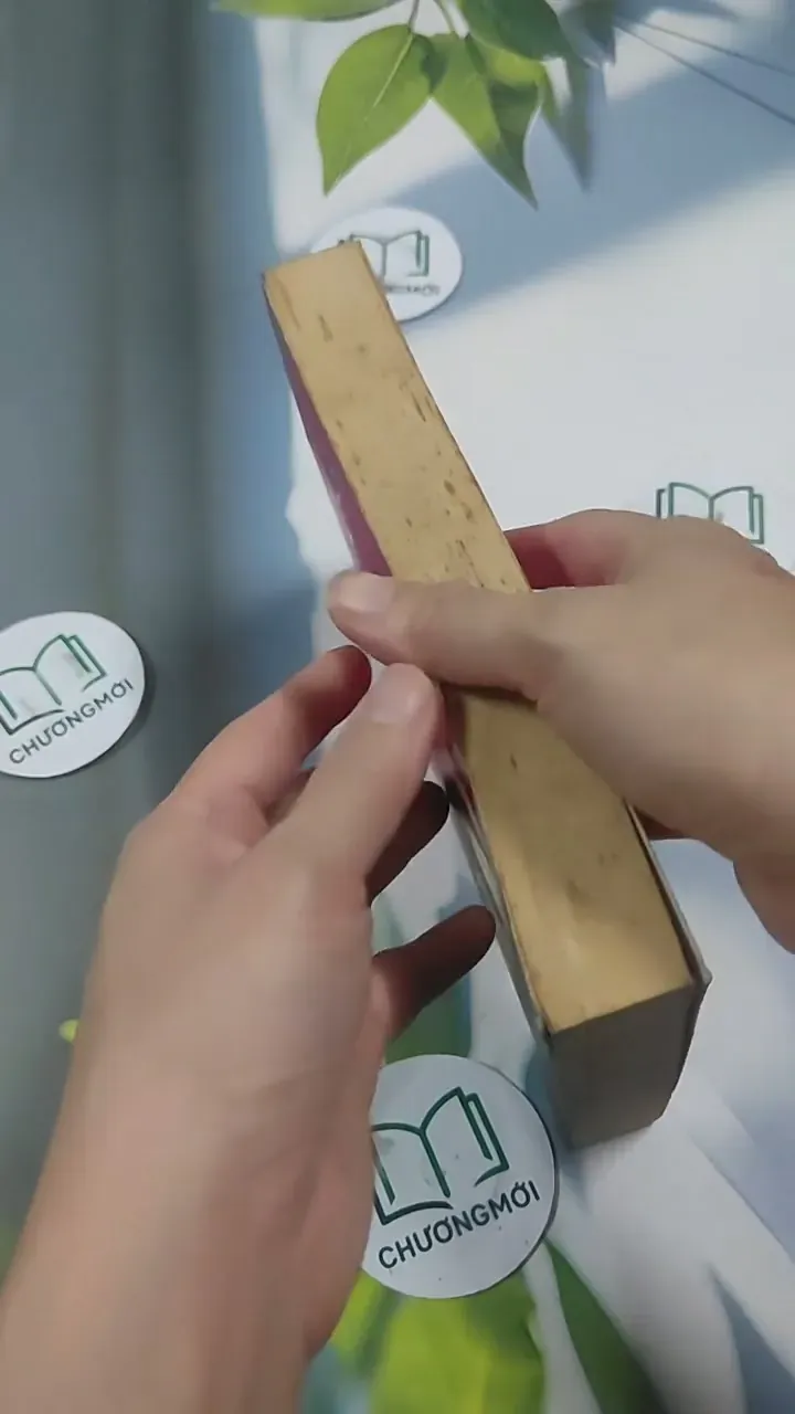 The Princess and the Foal - Stacy Gregg 715620