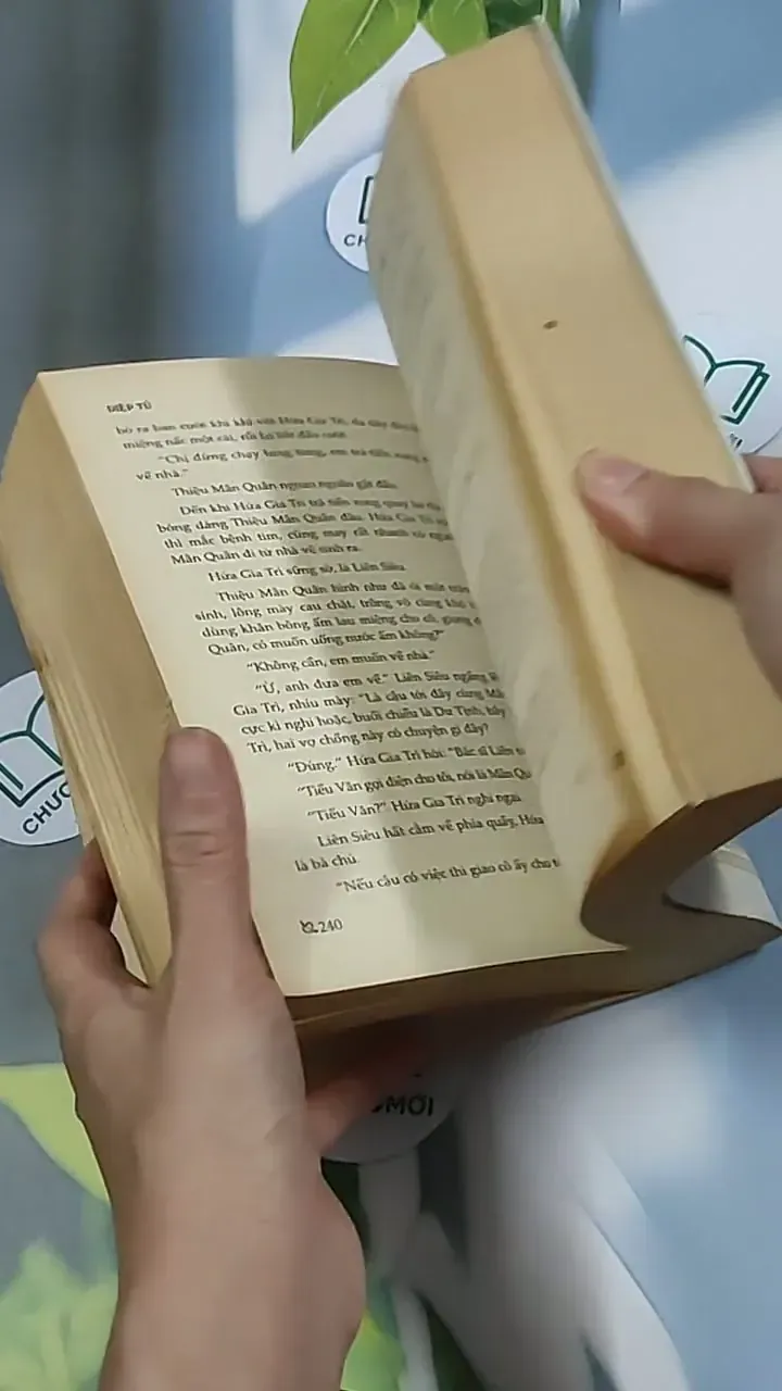 Quãng thời gian trong hồi ức - Diệp Tử 698605