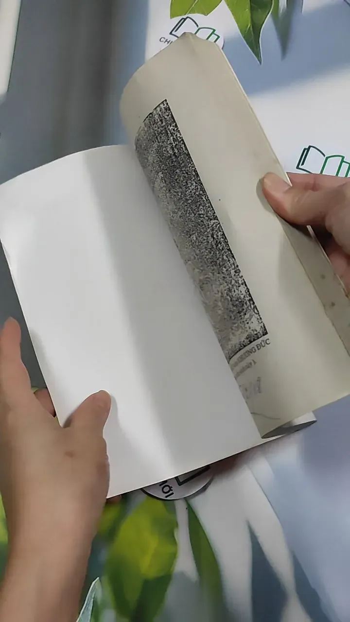 [MIỄN PHÍ BỌC SÁCH] Diễn Cầm Tam Thế Diễn Nghĩa - Dương Công Hầu 776244