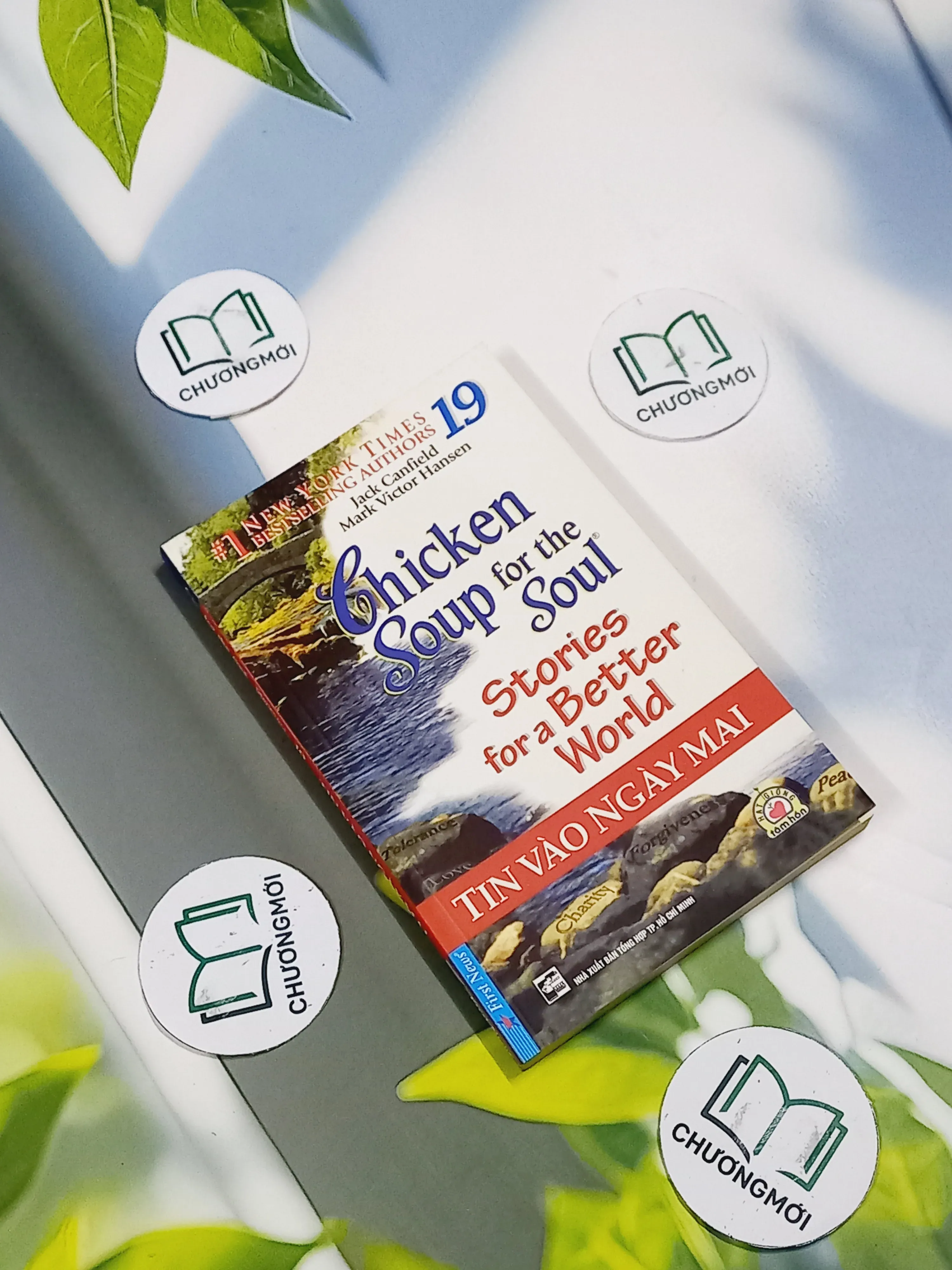 Chicken Soup For The Soul - 19: Tin Vào Ngày Mai