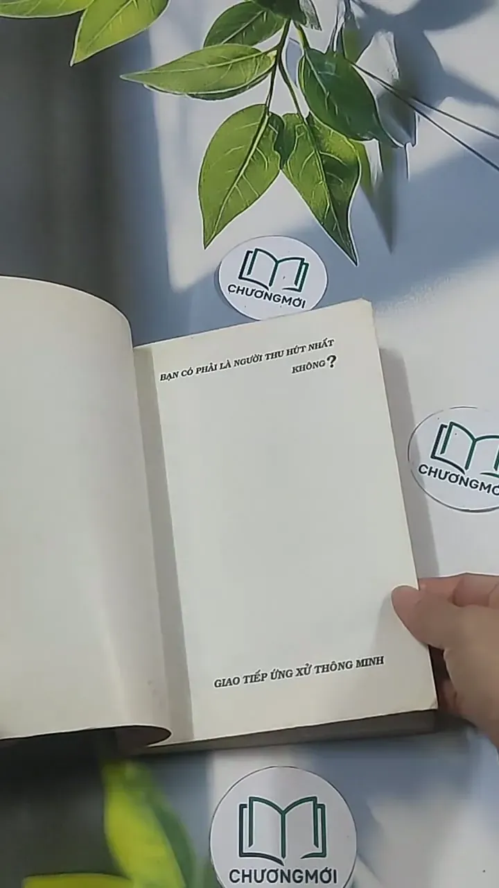 Bạn có phải là người thu hút nhất - Tạ Ngọc Ái 694943