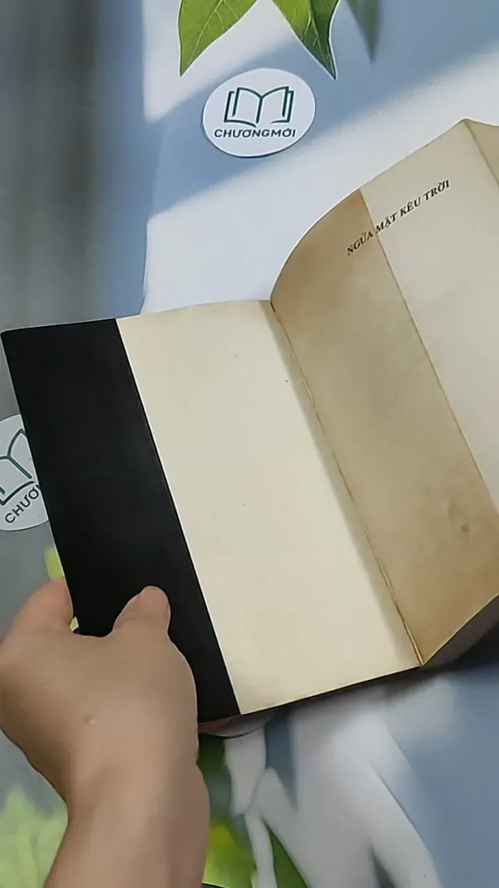 Ngửa mặt kêu trời - Tô Hoàng 698625