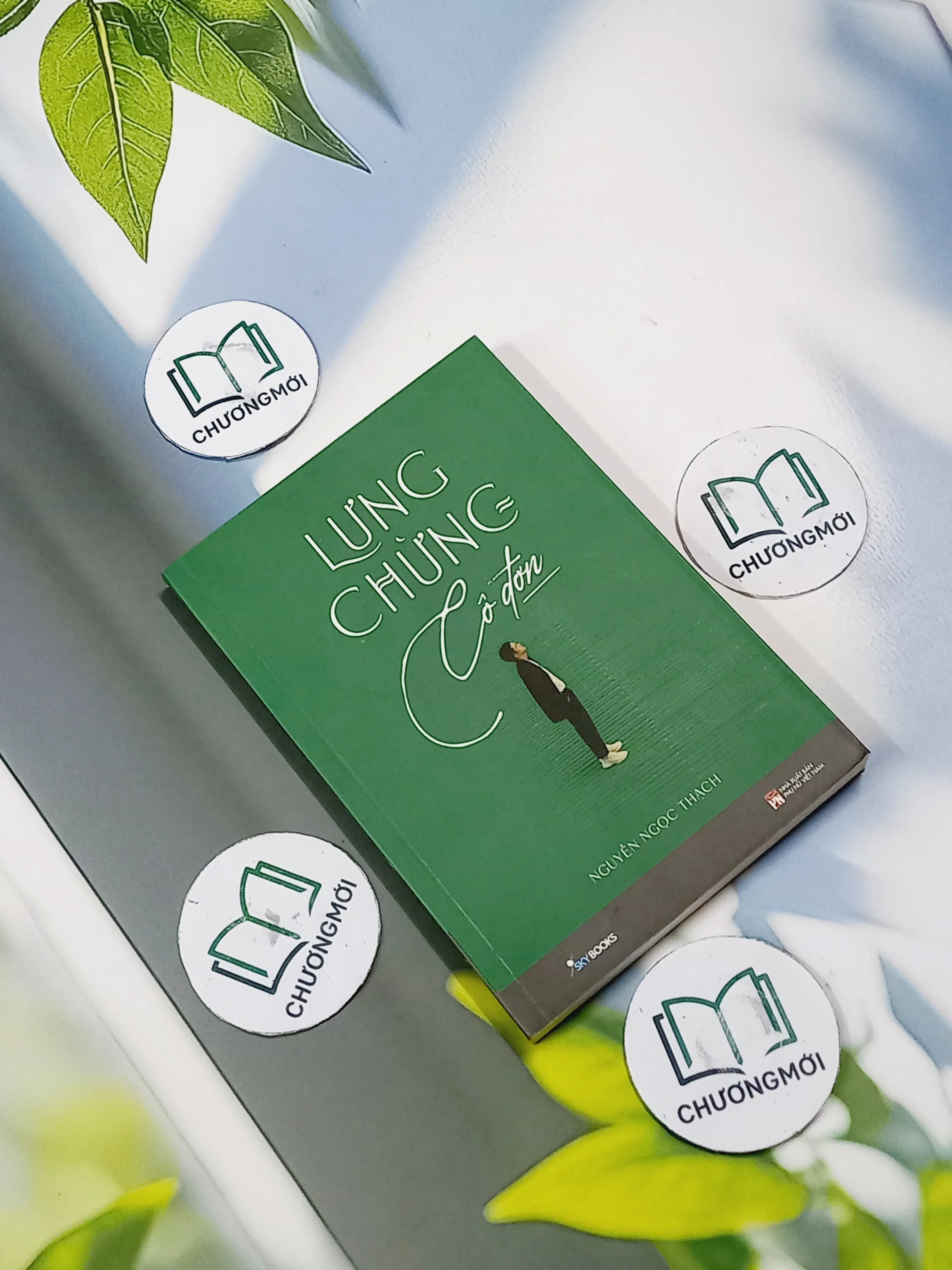 Lưng Chừng Cô Đơn - Nguyễn Ngọc Thạch