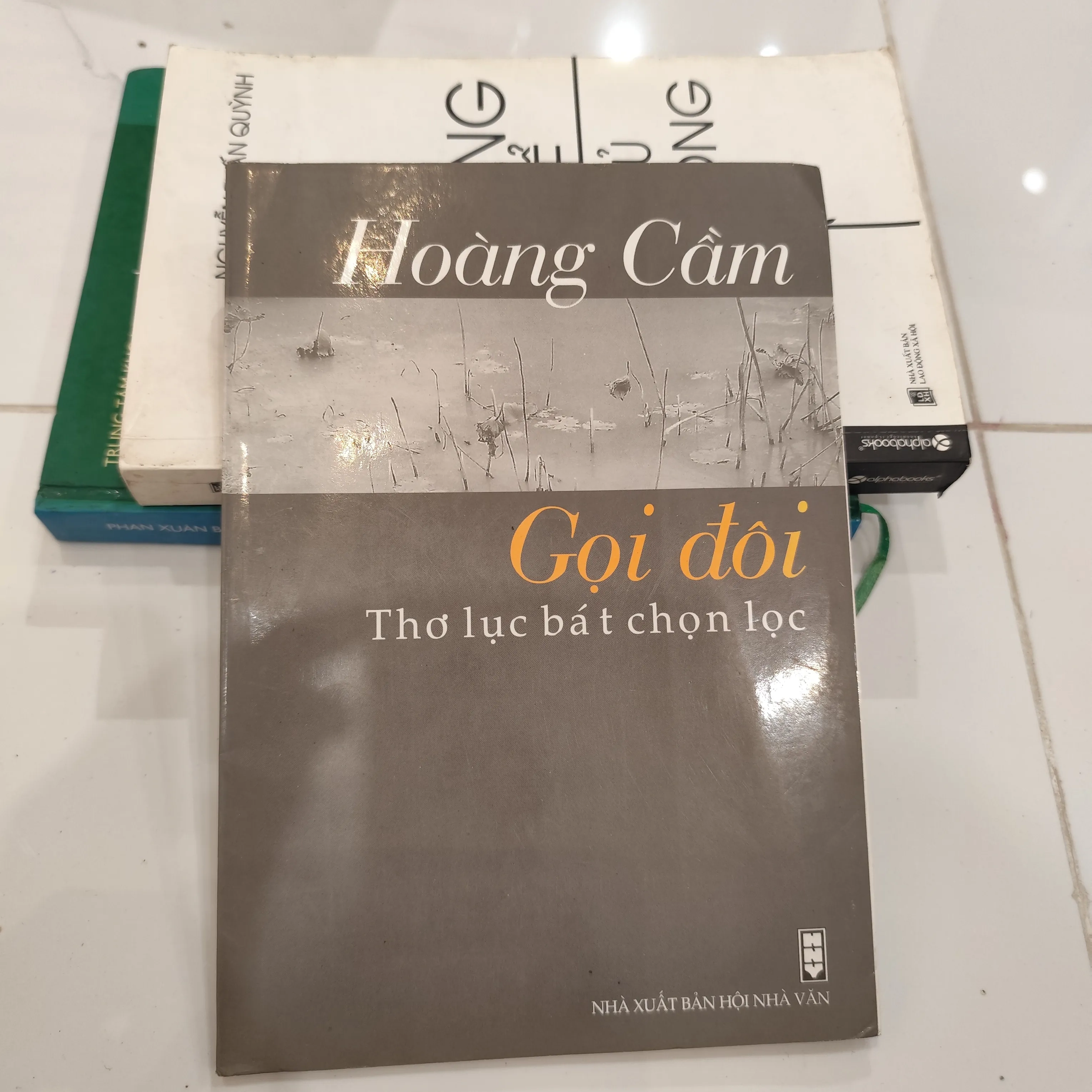 Gọi đôi thơ lục bát chọn lọc - Hoàng Cầm by  - Sách Book Cover - Ngọc Hiển Books