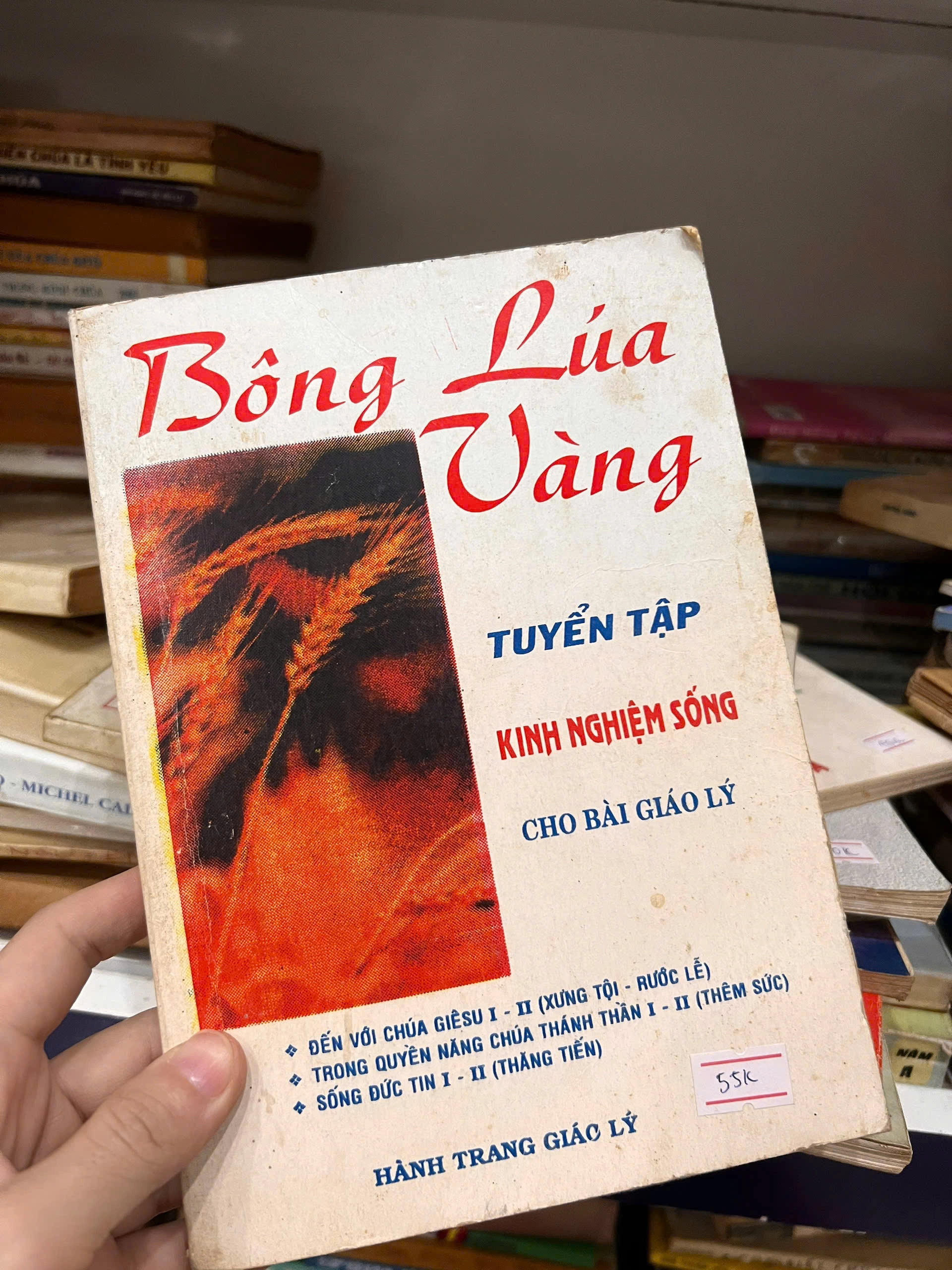 Bông lúa vàng - tuyển tập kinh nghiệm sống cho bài giáo lý by  - Sách Book Cover - Ngọc Hiển Books