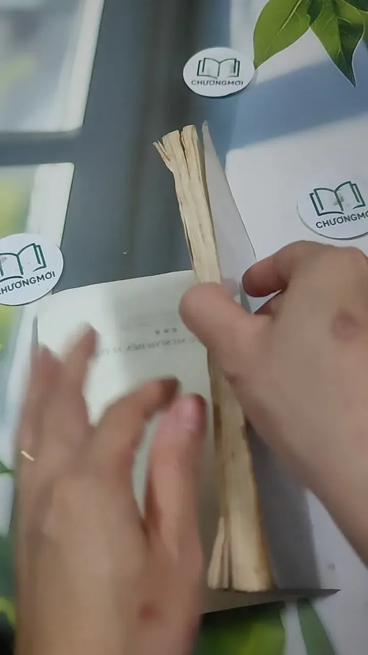 Những Điều Cần Biết Cho Các Cặp Vợ Chồng Trẻ - Nuôi Trẻ Từ Sơ Sinh Đến 12 Tuổi - BS. Lê T 727350