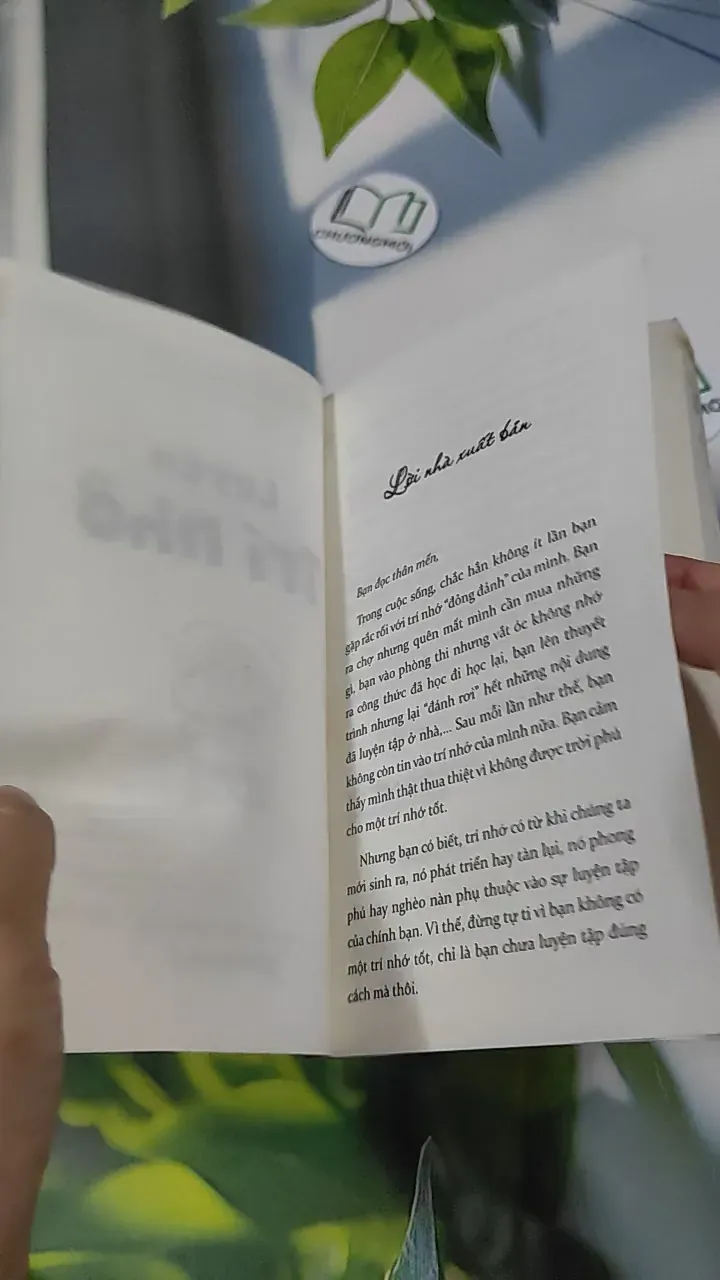 Luyện Trí Nhớ - Alpha Books 787052