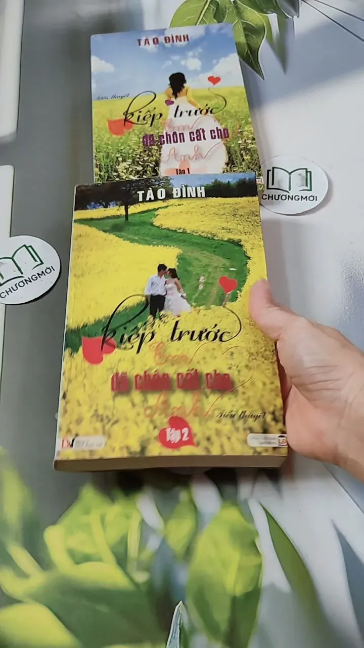 Bộ Kiếp Trước Em Đã Chôn Cất Cho Anh - Tào Đình 744693