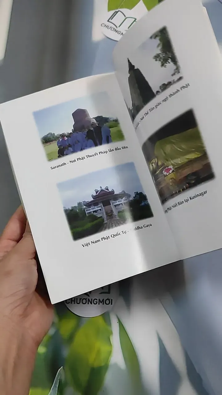 Góp lá nhiệm mầu - Nhuận Đạt 776208