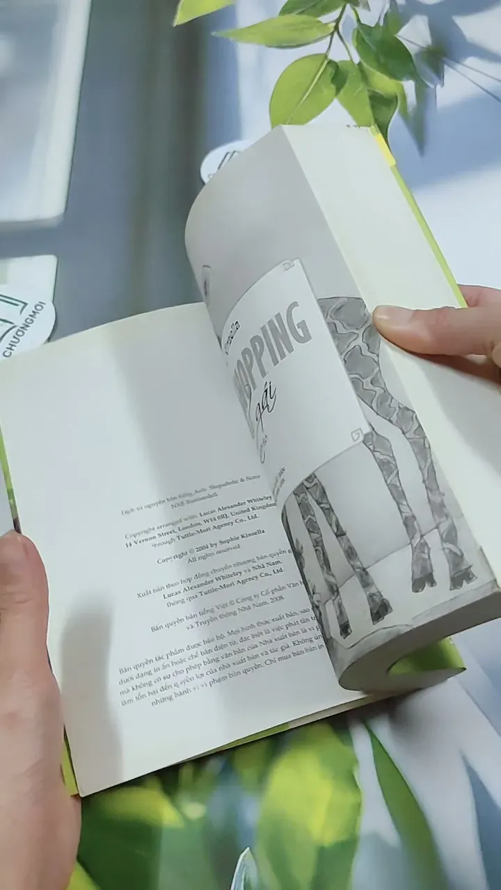 Tín Đồ Shopping Và Chị Gái - Sophie Kinsella 744775