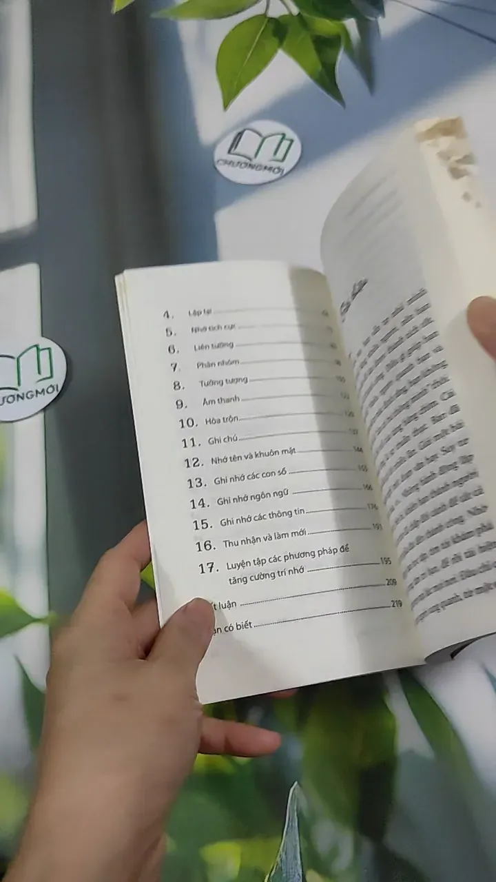 Luyện Trí Nhớ - Alpha Books 787052