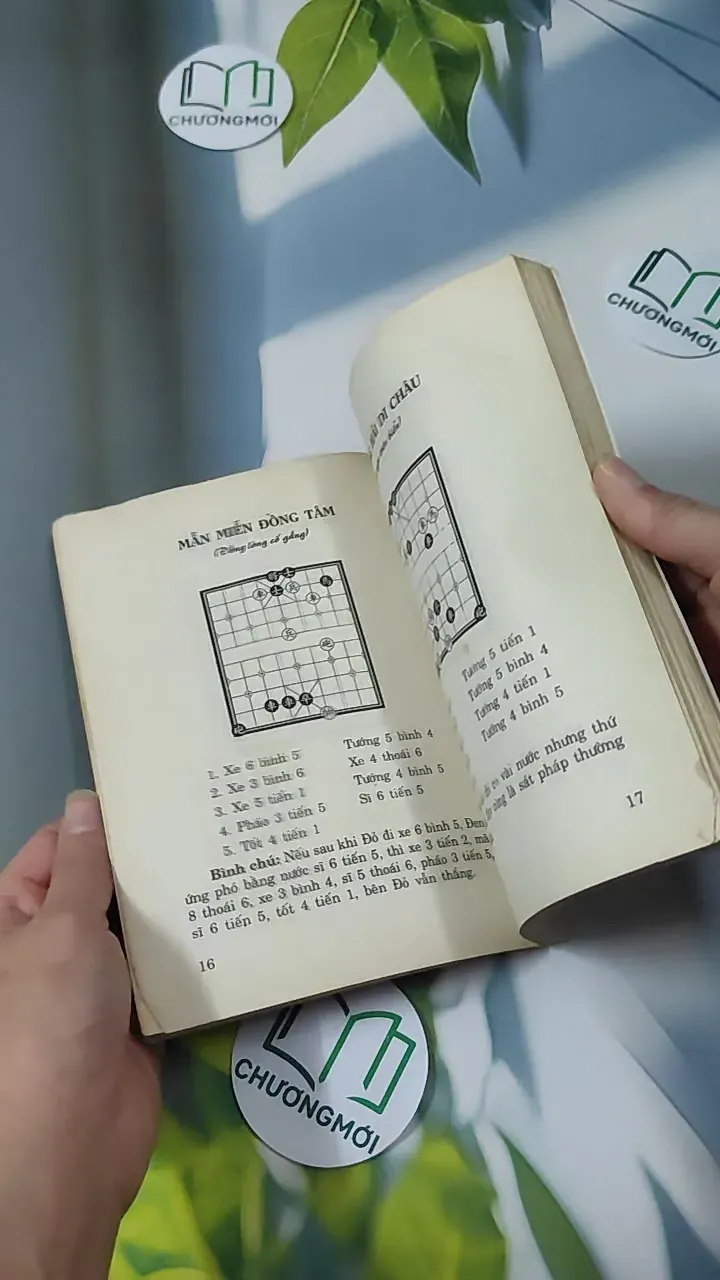 Những Thế Cờ Cao Thủ - Hồng Khánh 780859