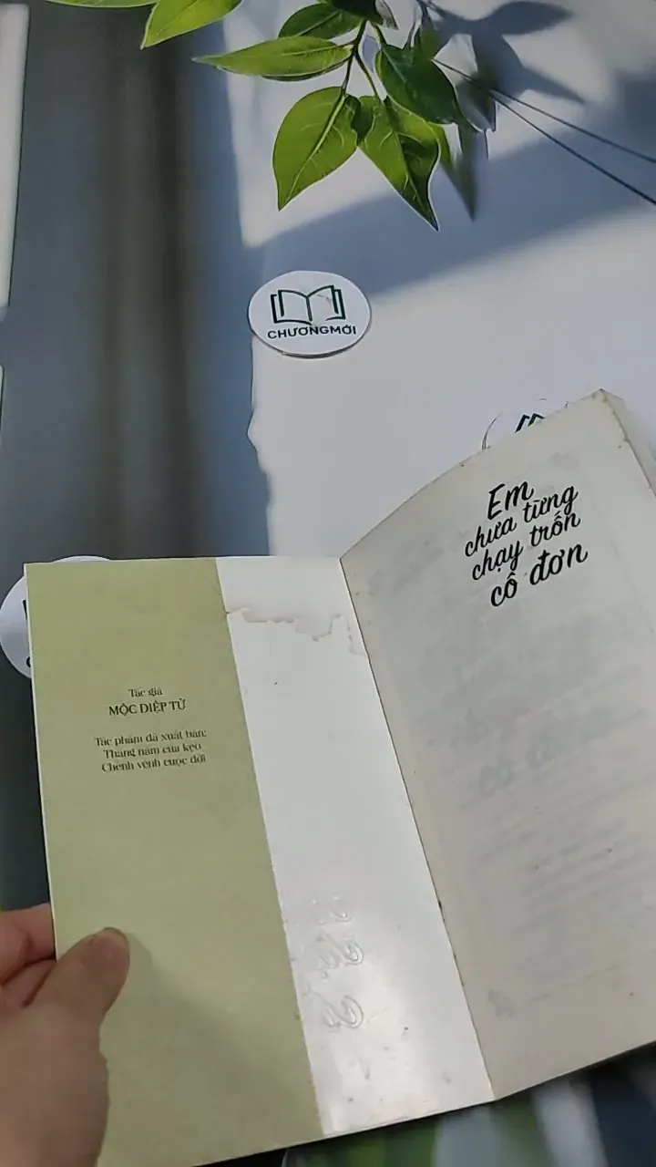 Em Chưa Từng Chạy Trốn Cô Đơn - Mộc Diệp Tử 705672