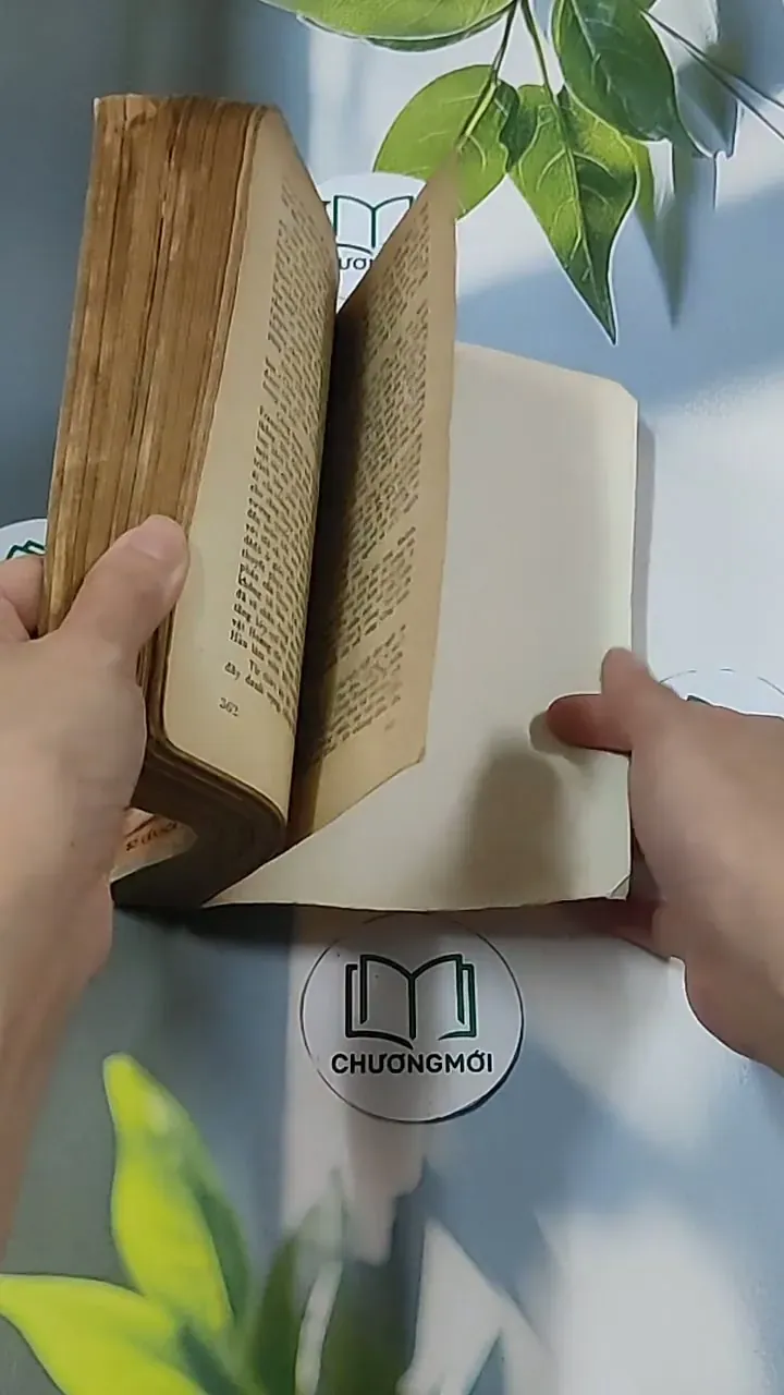 Bức Họa Maja Khỏa Thân (1986) - Samuel Edwards 674968