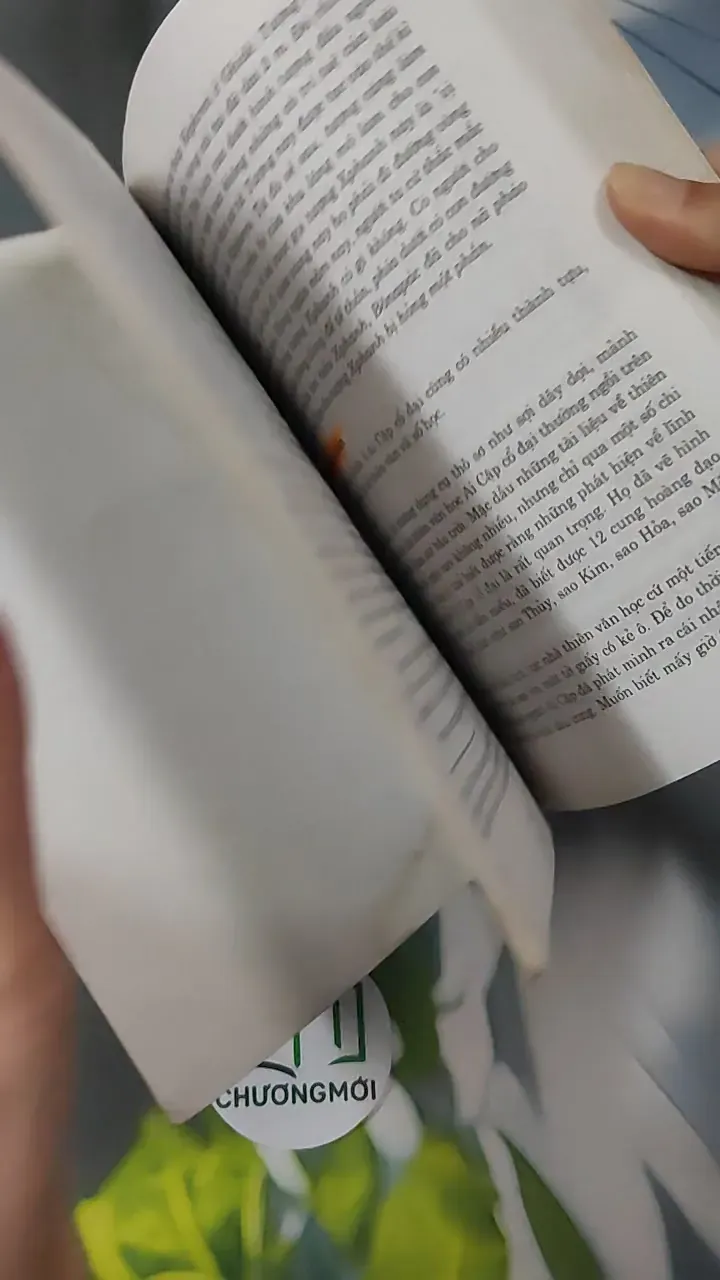 Lịch Sử Văn Minh Thế Giới (Lịch Sử Văn Minh Thế Giới) 780883