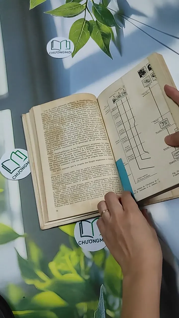 [MIỄN PHÍ BỌC SÁCH] L'Origine de l'Homme - Mikhail Nesturkh 750827