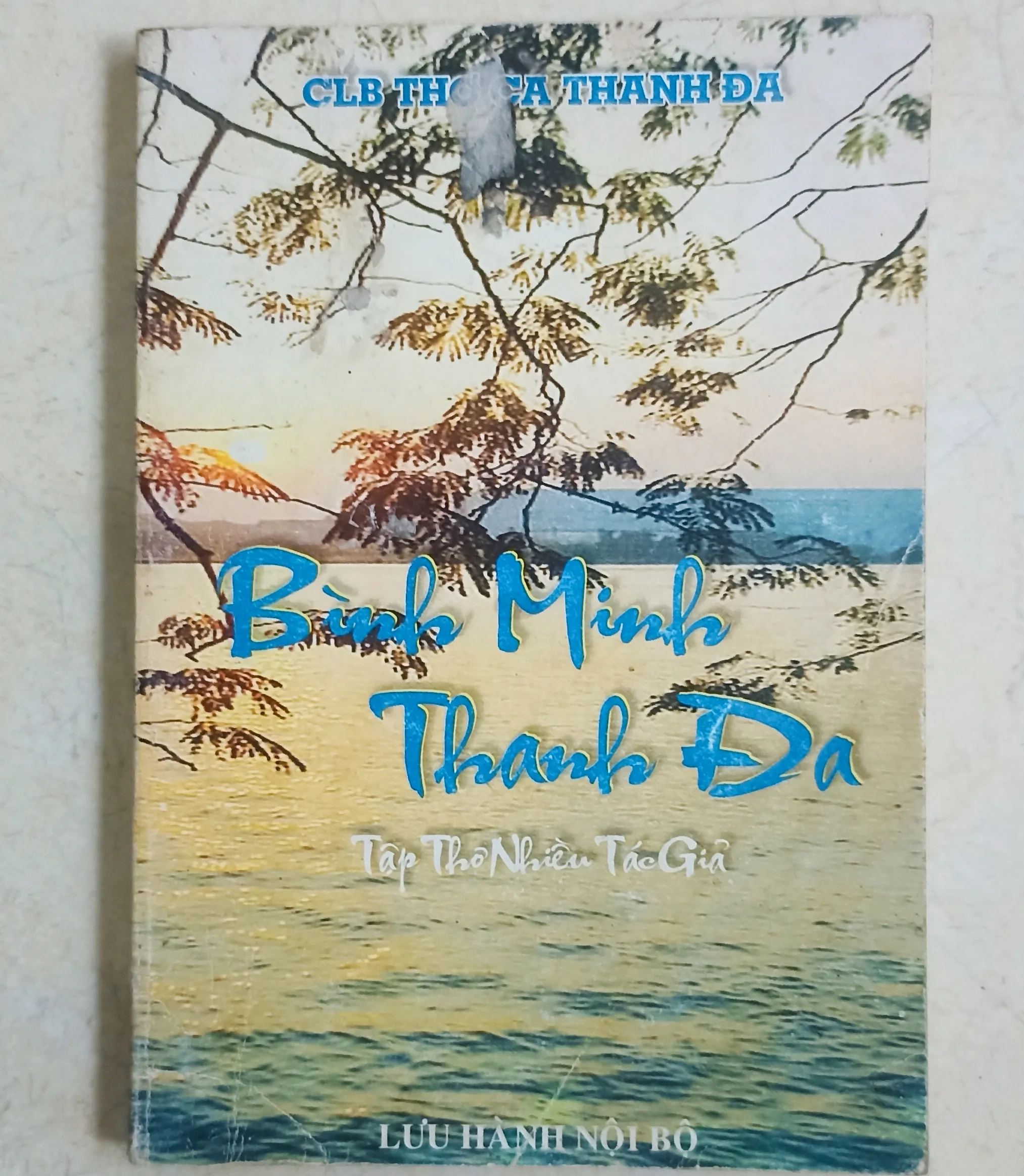 Bình Minh Thanh Đa 🌻 by  - Sách Book Cover - Ngọc Hiển Books