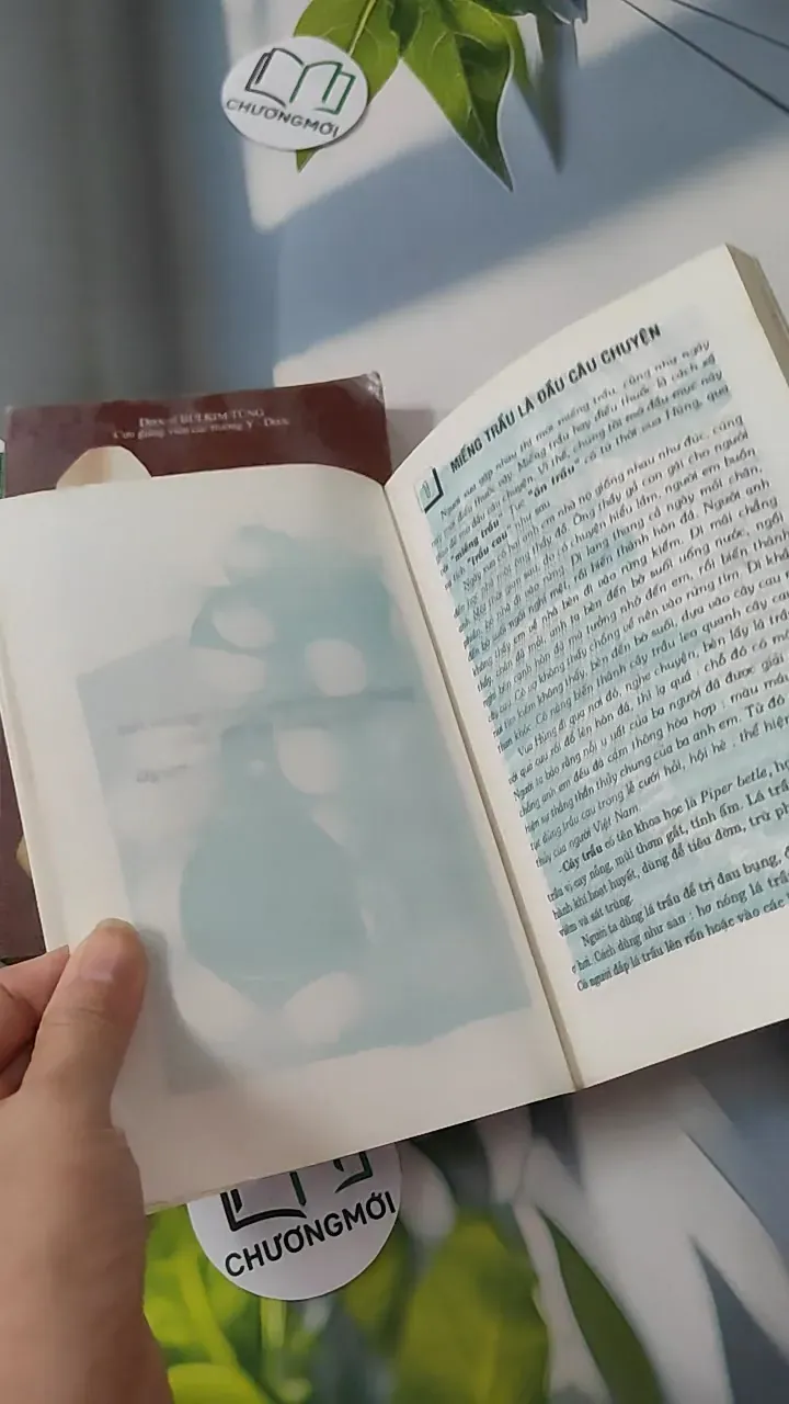 [MIỄN PHÍ BỌC SÁCH] [XƯA] Bộ Món Ăn  Bài Thuốc (1 + 2) (1995) (Bộ Món Ăn  Bài Thuốc (1 + 2)) 780813