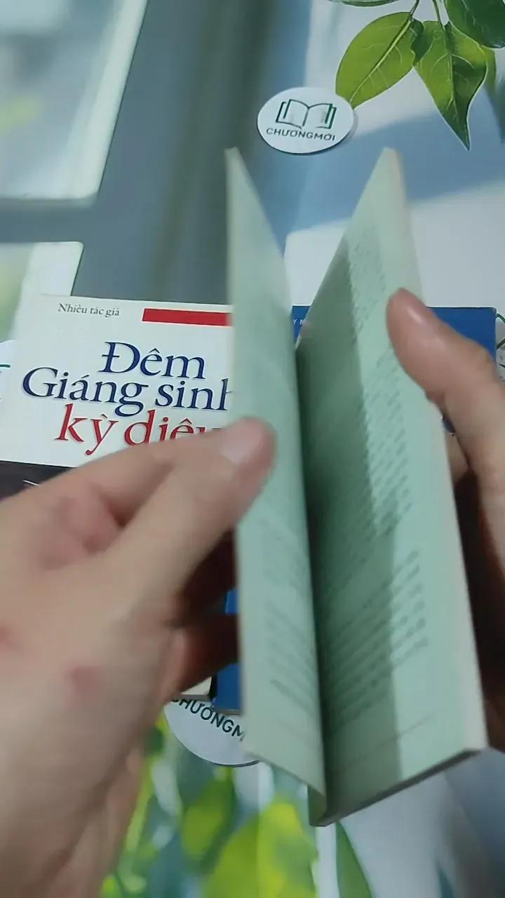 Combo Hạt Giống Tâm Hồn Quà Tặng Cuộc Sống: Giáng Sinh 727340