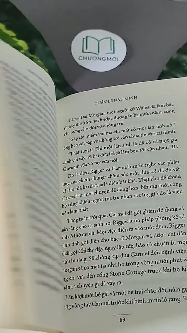 Tuần Lê Náu Mình (2017) - Maeve Binchy 604469