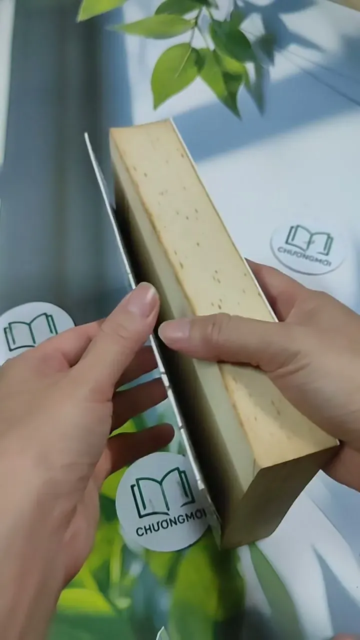 Năm Tháng Là Đoá Lưỡng Sinh Hoa - Đường Thất Công Tử 705692