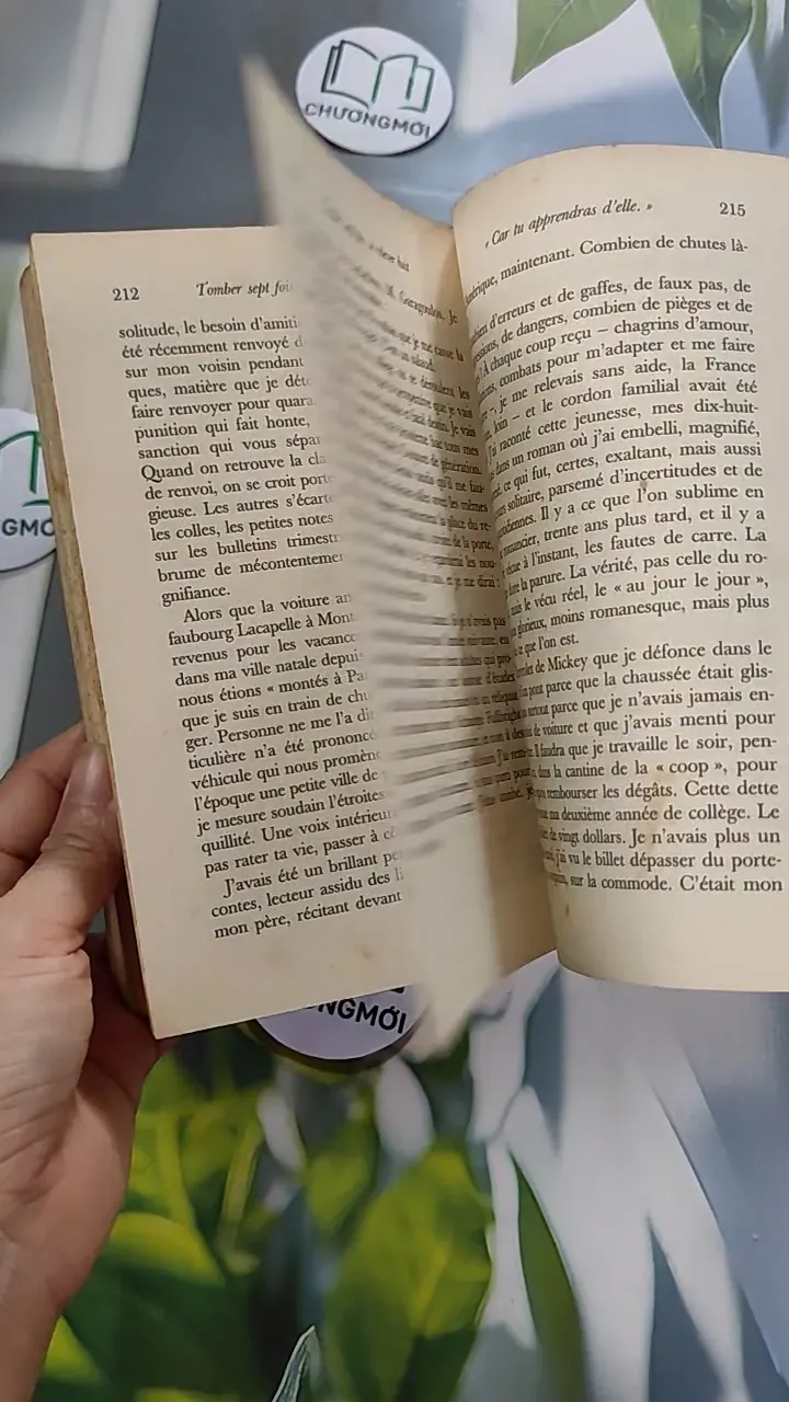 [MIỄN PHÍ BỌC SÁCH] Tomber sept fois, se relever huit - Philippe Labro 754471