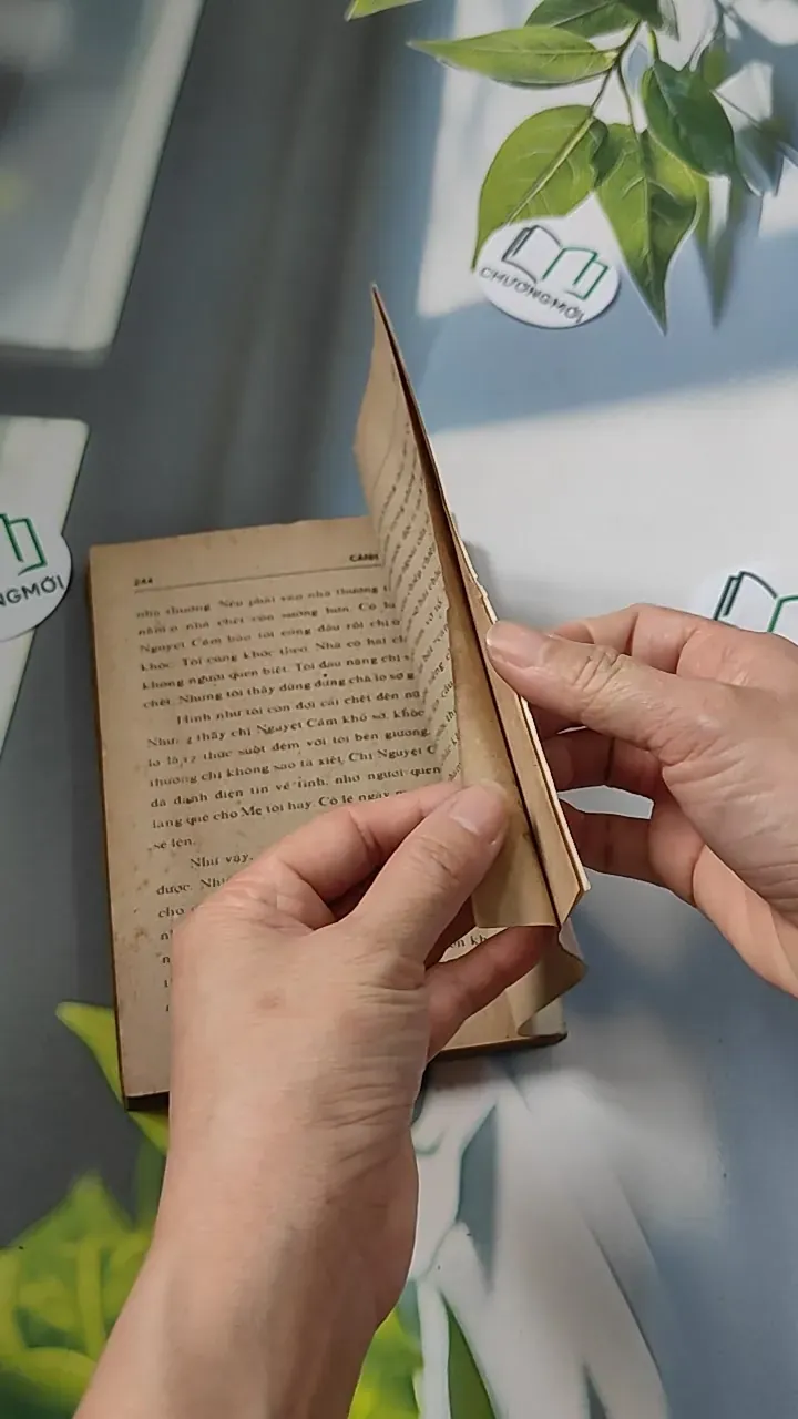 [XƯA] Cánh Bướm (1989) (Cánh Bướm) 776073