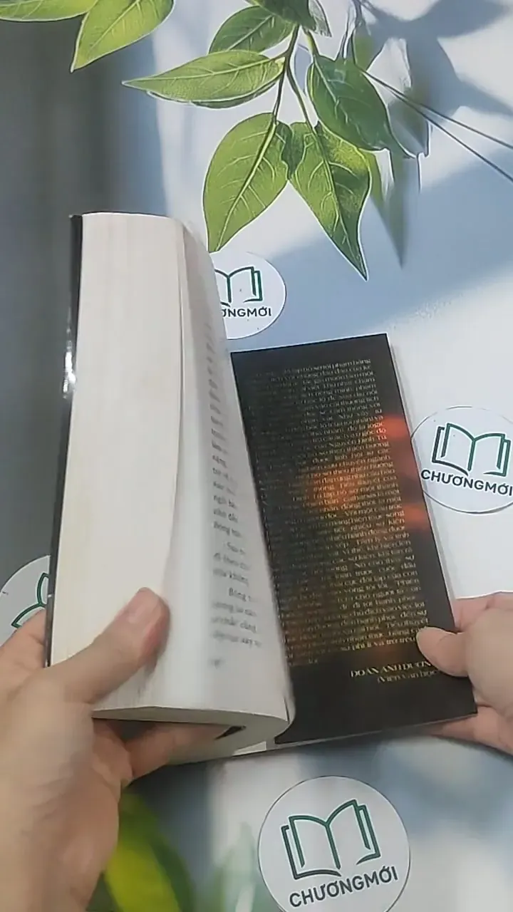 Phiên bản - Nguyễn Đình Tú 694921