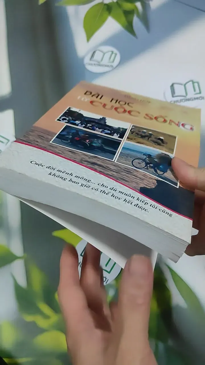 Bài Học Từ Cuộc Sống - Tổng Hợp 787130