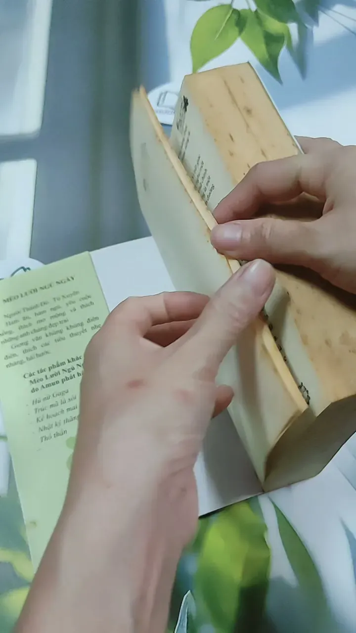 Hàng Đã Nhận, Miễn Trả Lại! - Mèo Lười Ngủ Ngày 744727