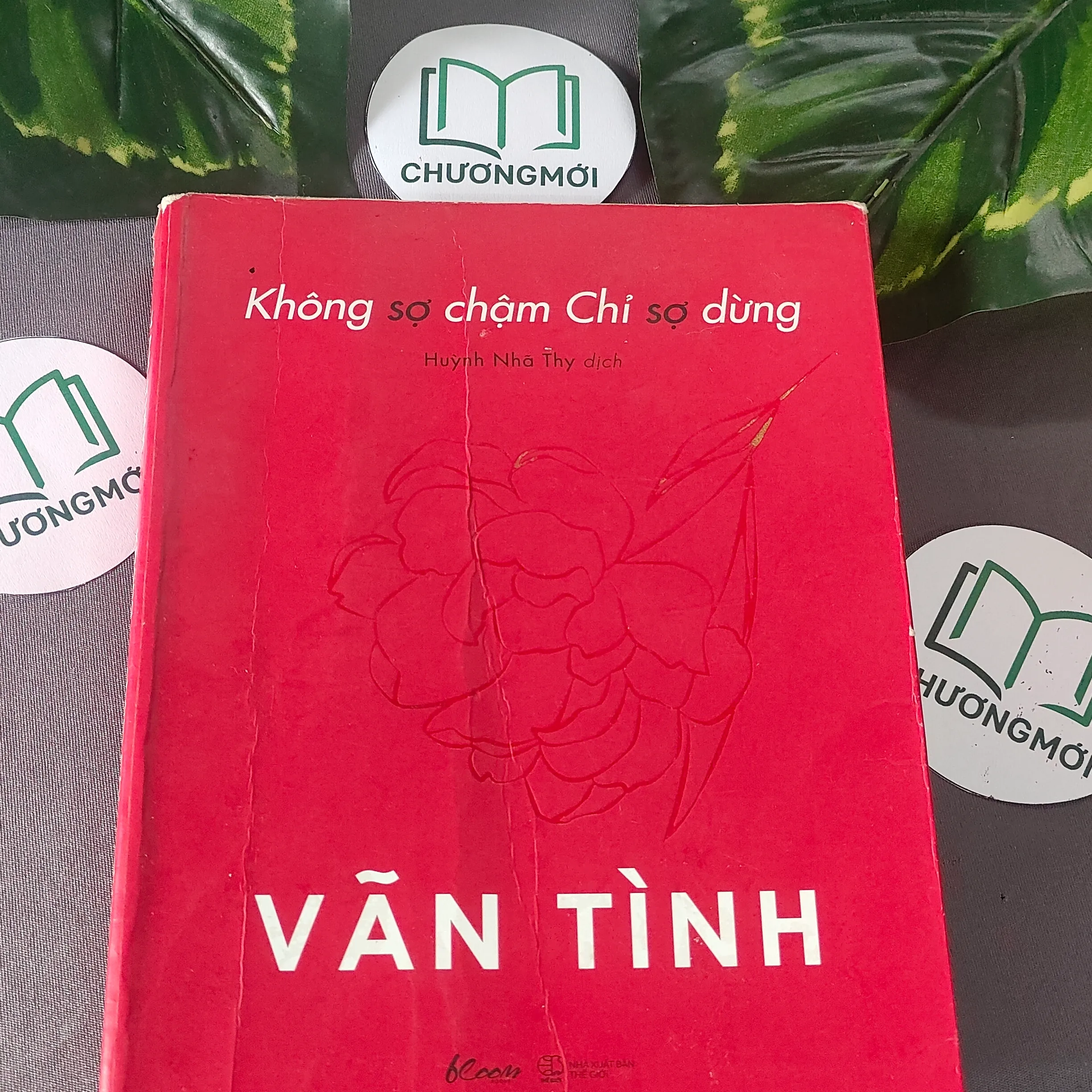 Không Sợ Chậm Chỉ Sợ Dừng (2020) - Vãn Tình