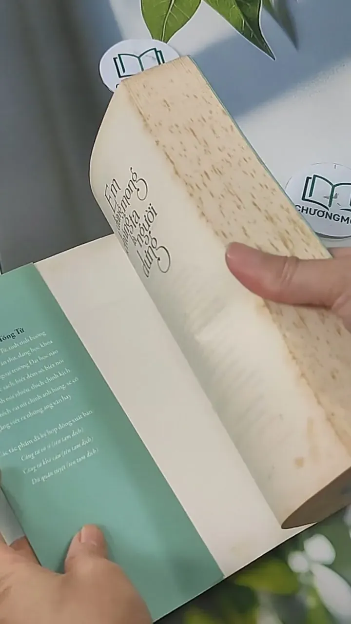 Em Đừng Mong Chúng Ta Là Người Dưng - Duy Hoà Tống Tử 705585