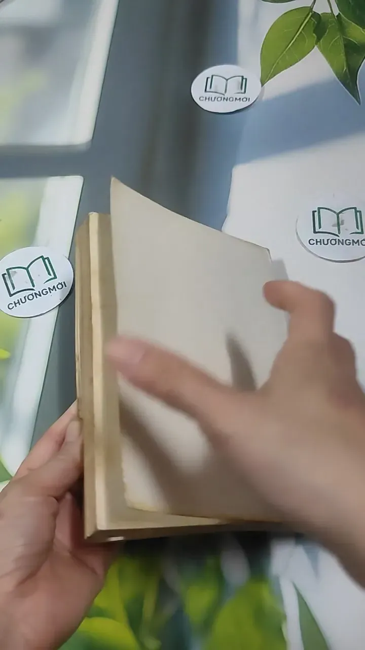 Nghệ Thuật Sống (1995) 727354